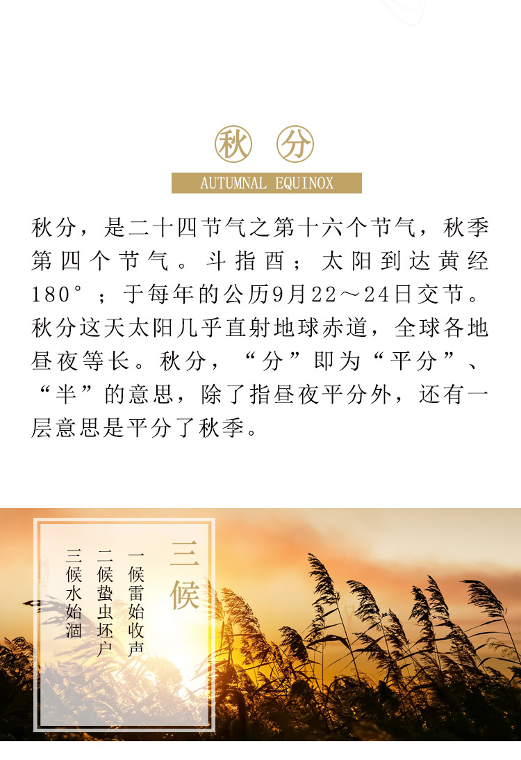 solarterms_02
