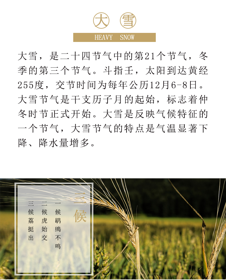 solarterms_02